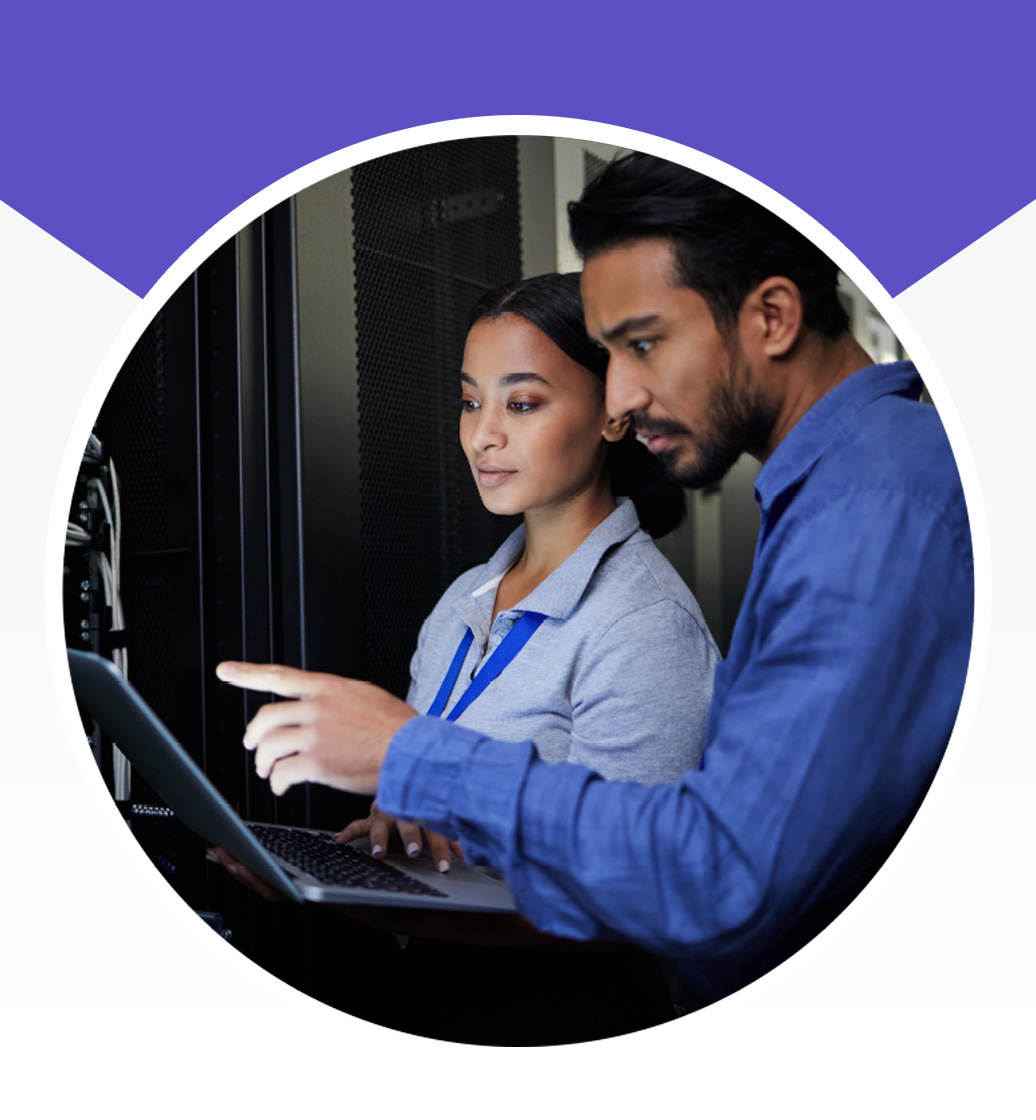 Architecture, Development, and Hosting circle image