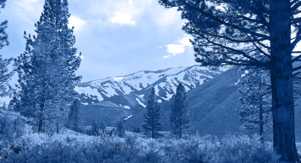 Humboldt Landscape